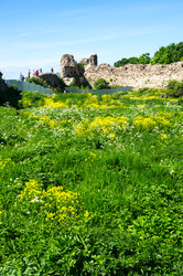 Similar image 22456785