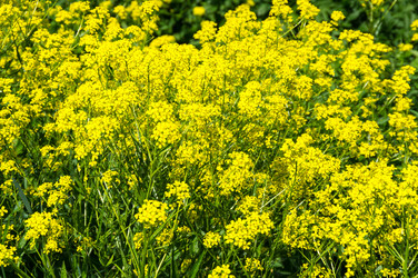 Similar image 22456793