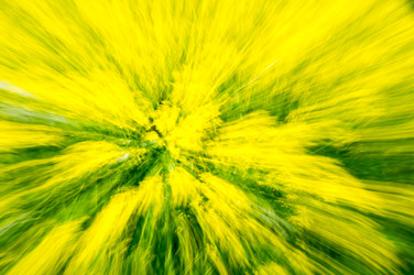 Similar image 22456794