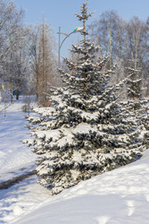 Similar image 22470812