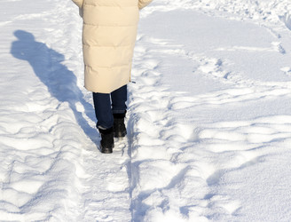 Similar image 22470829