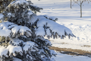 Similar image 22470830