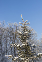 Similar image 22470643