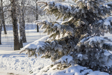 Similar image 22470644