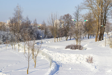 Similar image 22470646