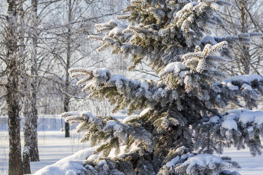 Similar image 22470647