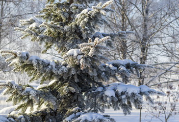 Similar image 22470648