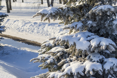 Similar image 22470649