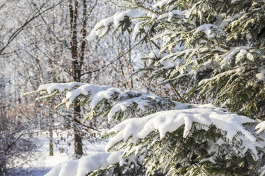 Similar image 22470767