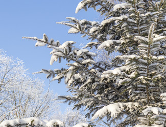 Similar image 22470780