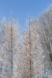 Similar image 22470781