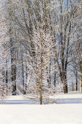 Similar image 22470782