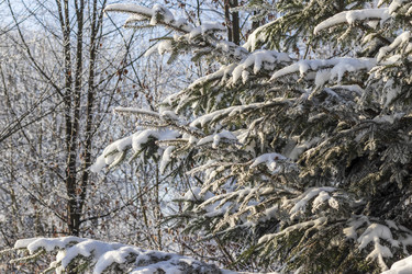 Similar image 22470813