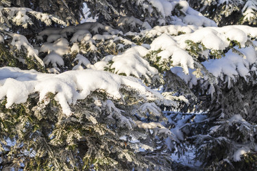 Similar image 22470814