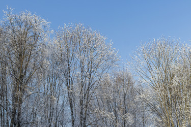 Similar image 22470815