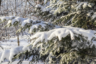 Similar image 22470816