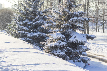 Similar image 22470817