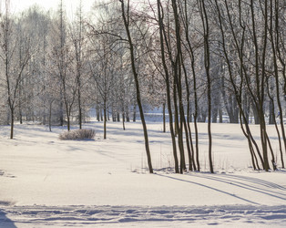 Similar image 22470818