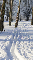 Similar image 22470629