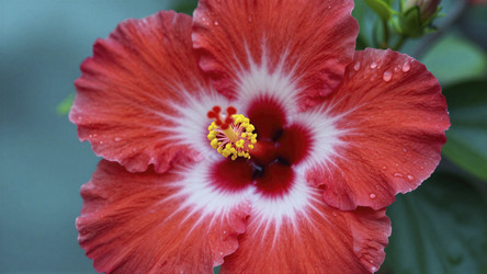 Similar image 22457794