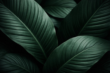 Similar image 22459694