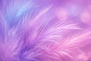 Similar image 22459721