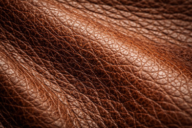 Similar image 22459723