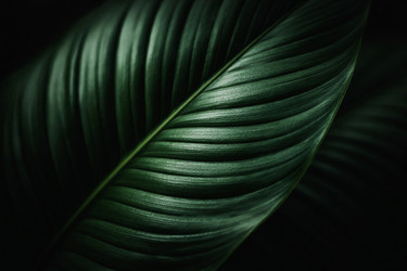 Similar image 22459729