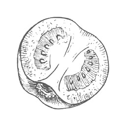 Similar image 22469653