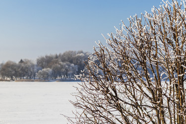 Similar image 22470745