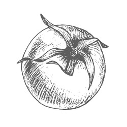 Similar image 22469654