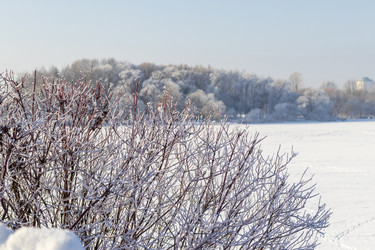 Similar image 22470749