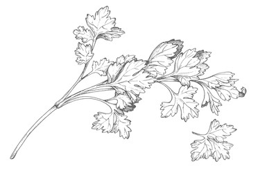 Similar image 22469660