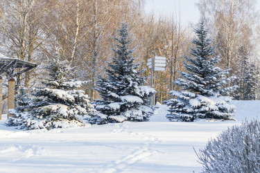 Similar image 22470751