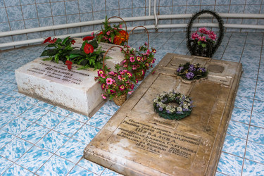 Similar image 22456706