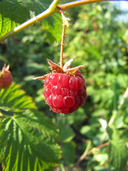 Similar image 22457778