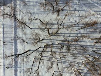 Similar image 22456961