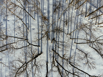 Similar image 22456964