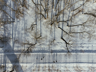 Similar image 22456965