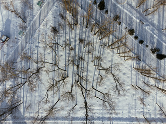 Similar image 22456979