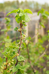 Similar image 22456429