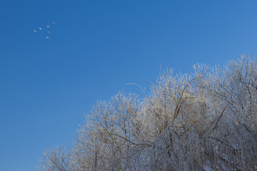 Similar image 22470680