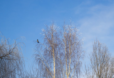 Similar image 22470681