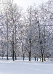 Similar image 22470687