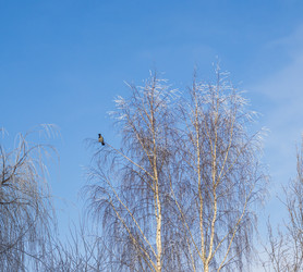 Similar image 22470688