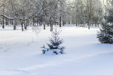 Similar image 22470689