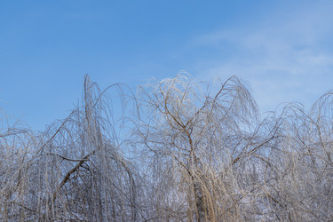 Similar image 22470690