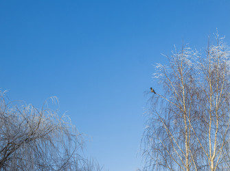 Similar image 22470691