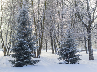 Similar image 22470693