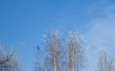 Similar image 22470708